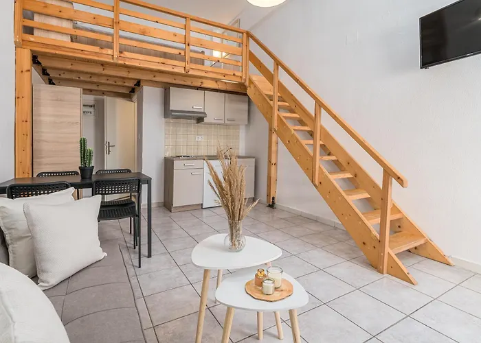 Zendaya 2 폴리크로노